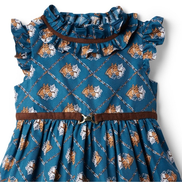 Janie and Jack equestrian / horse dress. Size 12. Sold out in stores! - Picture 4 of 8